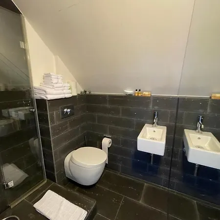 Am Rheinsteig & Loreley