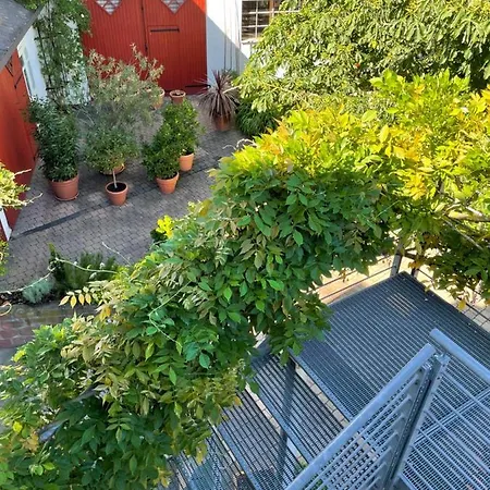Am Rheinsteig & Loreley Apartment Lykershausen
