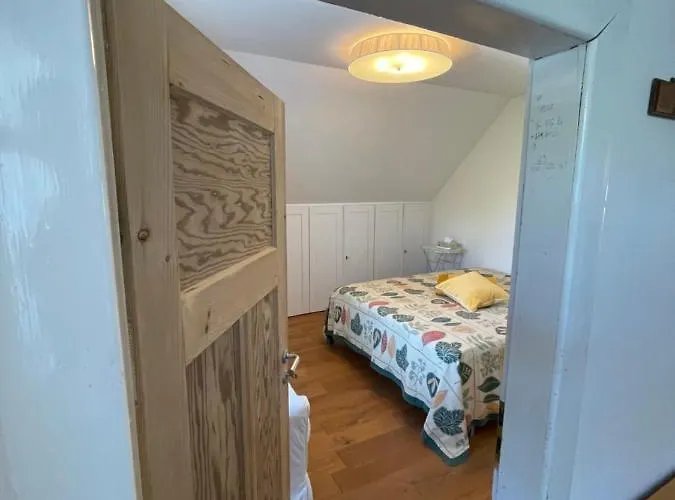 Am Rheinsteig & Loreley *