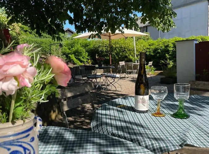 Am Rheinsteig & Loreley