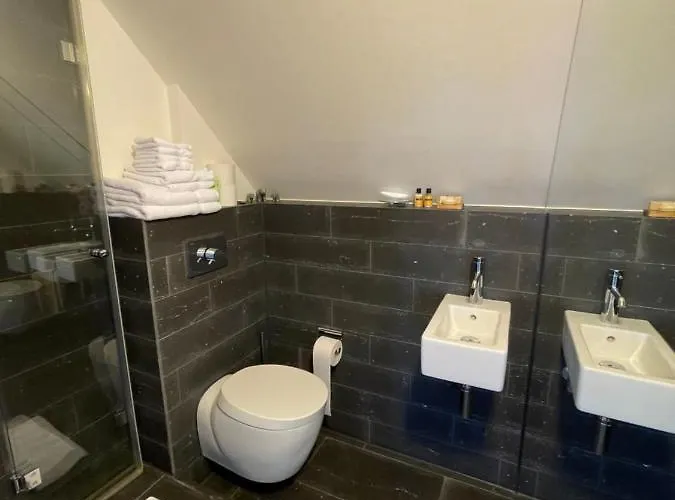 Am Rheinsteig & Loreley